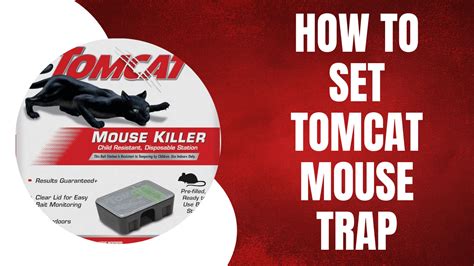 how to set the tomcat mouse trap|are tomcat mouse traps reusable.